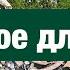 А после ходит тревожный но спокойный наружно Говорит кому то Ведь теперь тебе ничего Не страшно Да