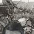 Stranger Than Fiction Bizarre But True Tales From History