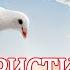 Top 20 Христианская Музыка всех времен Христианские песни 2021 1 час песни хвалы и поклонения