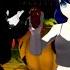 MMD Miraculous Ladybug Happy Halloween INSaNiTY Models DL