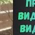 УНИКАЛЬНОЕ СВИДЕТЕЛЬСТВО Бывший ПРЕСТУПНИК видел демонов и был спасен ИИСУСОМ Ираклий Чантурия