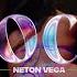 Neton Vega Loco Video Oficial