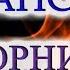 Шансон Песни Сборник 5