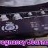 Mother Pregnancy Journey Physiotherapist Physiotherapy Mom Song Physicaltherapy