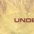 PSYTRANCE UnderCover Chapati 8D AUDIO