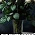 The White Rose Silent Defiance In Nazi Germany Shorts