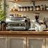Morning Spring Jazz Gentle Jazz Music At Cozy Outdoor Coffee Shop Ambience For Mood Booster Study