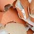 You Will Never Throw Away Eggshells After Watching This