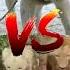 Lion VS Alabai VS Pitbull