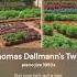 Thomas Dallmann S Twist