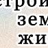 Как нам лучше устроить свою земную жизнь