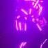 Glowing Robot From Calvin Harris Night At Omnia Nightclub