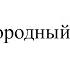 Единородный Сыне Victor Bragari