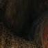 Bombadil S The Name TheRingsofPower TomBombadil TheIstar TheStranger Shorts