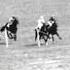 The Great Metropolitan Handicap Won By Yo Yo AKA Horse Racing 1949