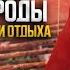 10 ЧАСОВ Звуки природы и пение птиц ДЛЯ СНА И ОТДЫХА