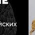 Кто такие скифы Генетика евразийских кочевников