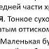 Слова в ассортименте многозначность в лексике еды Борис Иомдин