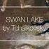 Tchaikovsky Swan Lake Slowed Reverb