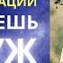 How To Get Married Neuro Meditation On Love How To Fall In Love With A Man How To Attract Love