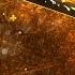 Astronaut In The Ocean Fragmovie