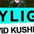 David Kushner Daylight Lucky Del Mar Remix