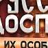 Особенности русских доспехов А Богданов за час рассказывает о том чему он отдал 20 лет жизни