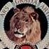 Metro Goldwyn Mayer 2x 1942 1982