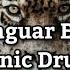 Shamanic Drumming Jaguar Era Deep Trance For Strength And Courage VR Headphone Music