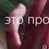 Дона дона музыка пой