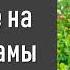 Покаяние на могиле мамы II Е Н Пушков