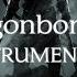 The Dragonborn Comes Soundtrack Instrumental Skyrim Cover