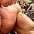 How To Train For Mass Arnold Schwarzenegger S Blueprint Training Program