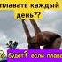 ЧТО Будет если ПЛАВАТЬ каждый ДЕНЬ бассейн плавание триатлон тренировки чтоесли спорт