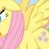 Avast Fluttershy S Music Box