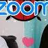 Miraculous Ladybug And Chat Noir Cosplay Video The Zoom Class