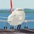 Landing Airliners On An AIRCRAFT CARRIER In PTFS