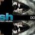 Arash Feat Helena Dooset Daram Audio CDQ