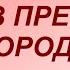 14 октября праздник Покров Пресвятой Богородицы Главные правила и запреты