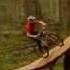 If Only Every Mountain Biking Video Was Shot Like This Afrojacks Flv