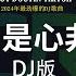 Chinese DJ 2024 高清新夜店混音 最火歌曲dj Remix抖音版2024 口是心非 DJ版 Cici 遺憾也值得 於冬然 能不能放過我