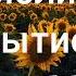 Библия Аудиокнига Перевод Новый Мир