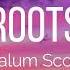 Calum Scott Roots Lyrics