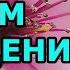 Очень красивые стихи на день рождения для женщины
