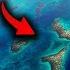 107 Ülkem Belize Ye Gidiyorum İşte Başıma Gelenler