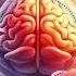 Activate Brain To 100 Potential Genius Brain Frequency Gamma Binaural Beats