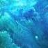 Carol Of The Bells Libera Version EO Blue And Green With Enhanced Bitrate