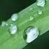 Find Soulmate Spiritual Meditation Music Merging With Dew Drops Nature Delight