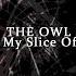 The Owl Video This Is My Slice Of The Pi Using The Entire Pi Movie Experimental Noise Glitch