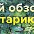 Хостарию год Как разрастаются новые хосты